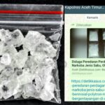 MAPOLORES Aceh Timur Di Minta Usut Kasus BD Narkoba Berinisial Polytron