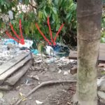 Perintah Pembuangan Minyak Mentah Oleh Kapolres Langsa Melukai Ratusan Masyarakat Desa Alur Canang