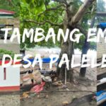 Penambang Emas Illegal Didesa Paleleh,"Diduga Dibekingi Oleh Polsek Paleleh Sulteng