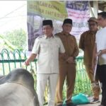 Bupati Murung Raya Serahkan Bantuan Sapi Kurban, Satu Ekor Bantuan Dari Presiden RI Bupati Murung Raya Serahkan Bantuan Sapi Kurban, Satu Ekor Bantuan Dari Presiden RI