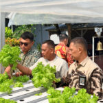 Panen Selada Hidroponik, Lapas Narkotika Sungguminasa Konsisten Dukung Ketahanan Pangan